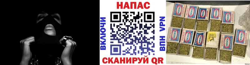 mega как войти  Талица  Бошки марихуана план 
